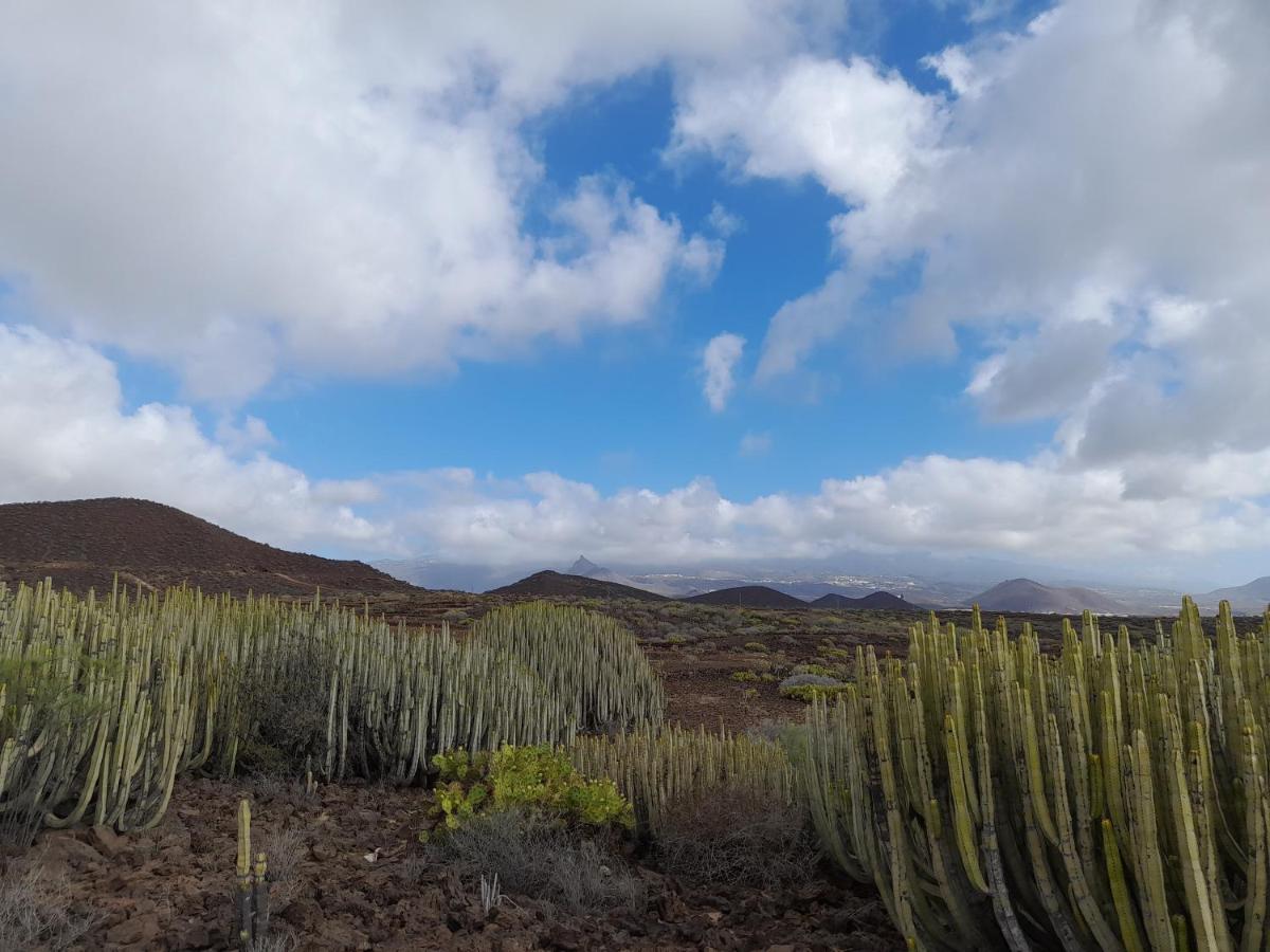 Tenerife Homestay San Miguel de Abona Luaran gambar