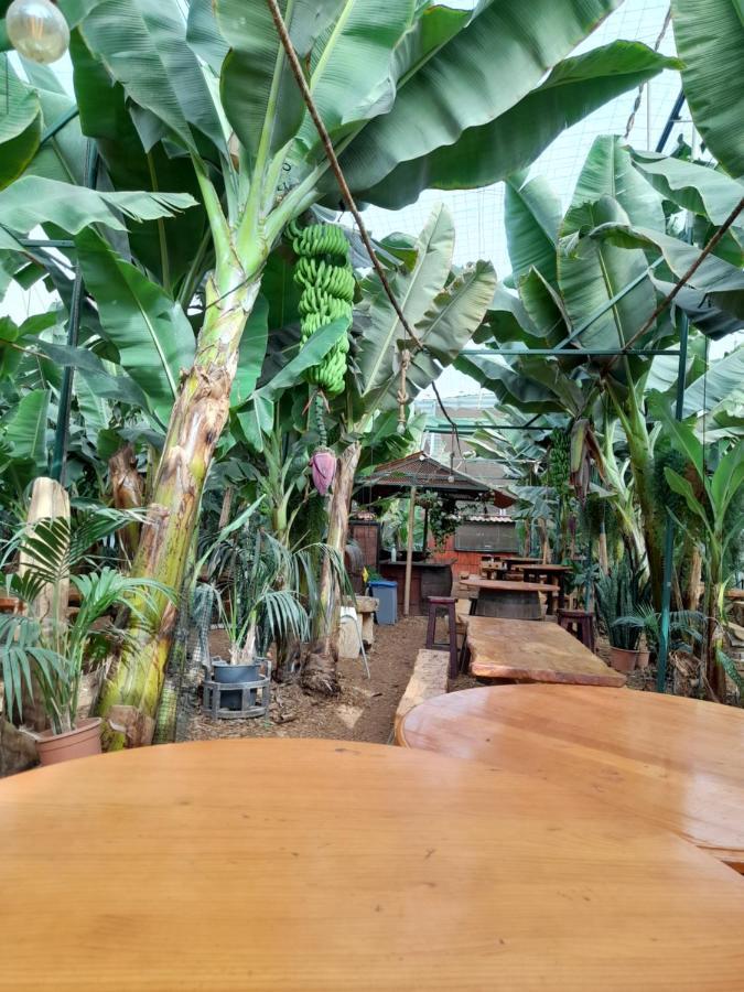 Tenerife Homestay San Miguel de Abona Luaran gambar