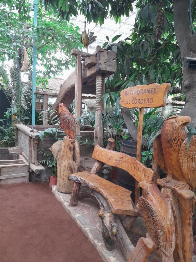 Tenerife Homestay San Miguel de Abona Luaran gambar
