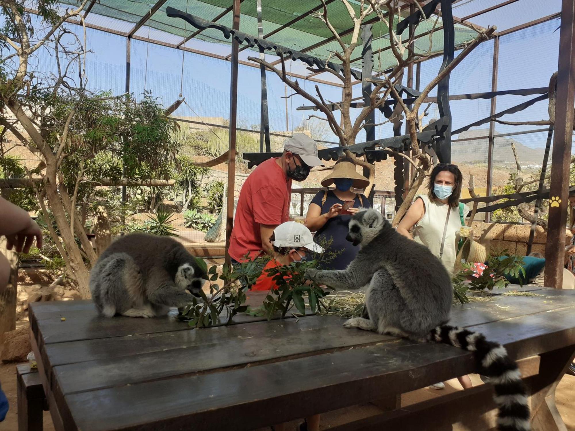Tenerife Homestay San Miguel de Abona Bilik gambar